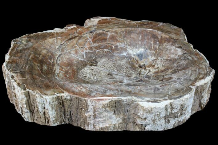 Polished Madagascar Petrified Wood Dish - Madagascar #83327